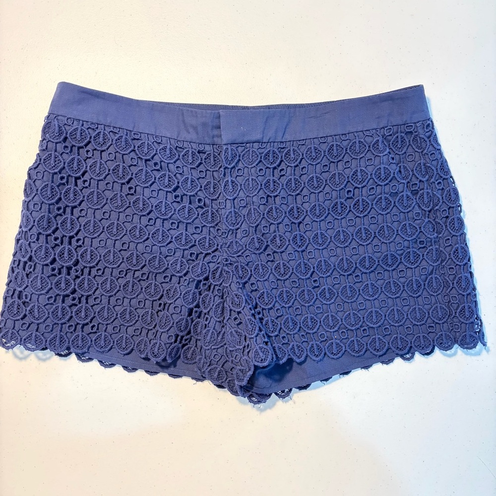 Club Monaco Navy Lace Diaz Aviator Shorts (10) - Picture 4 of 13